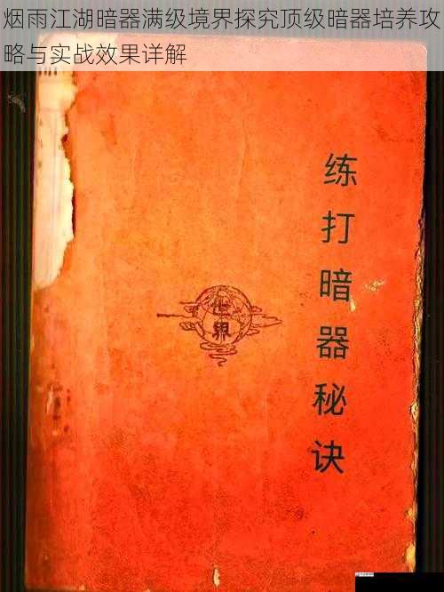烟雨江湖暗器满级境界探究顶级暗器培养攻略与实战效果详解