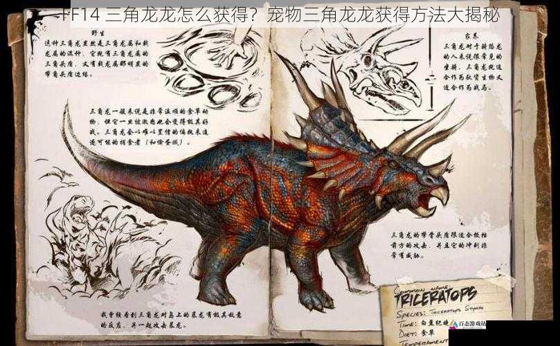 FF14 三角龙龙怎么获得?宠物三角龙龙获得方法大揭秘