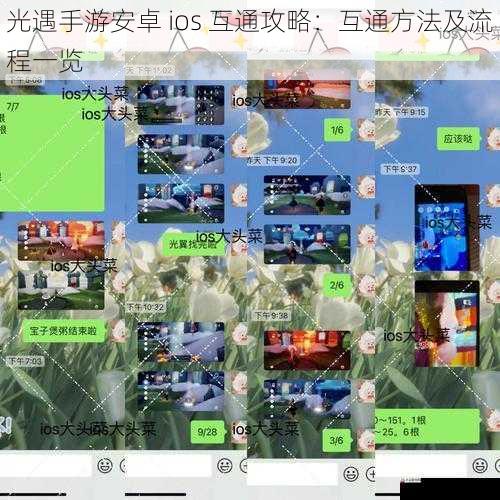 光遇手游安卓 ios 互通攻略：互通方法及流程一览