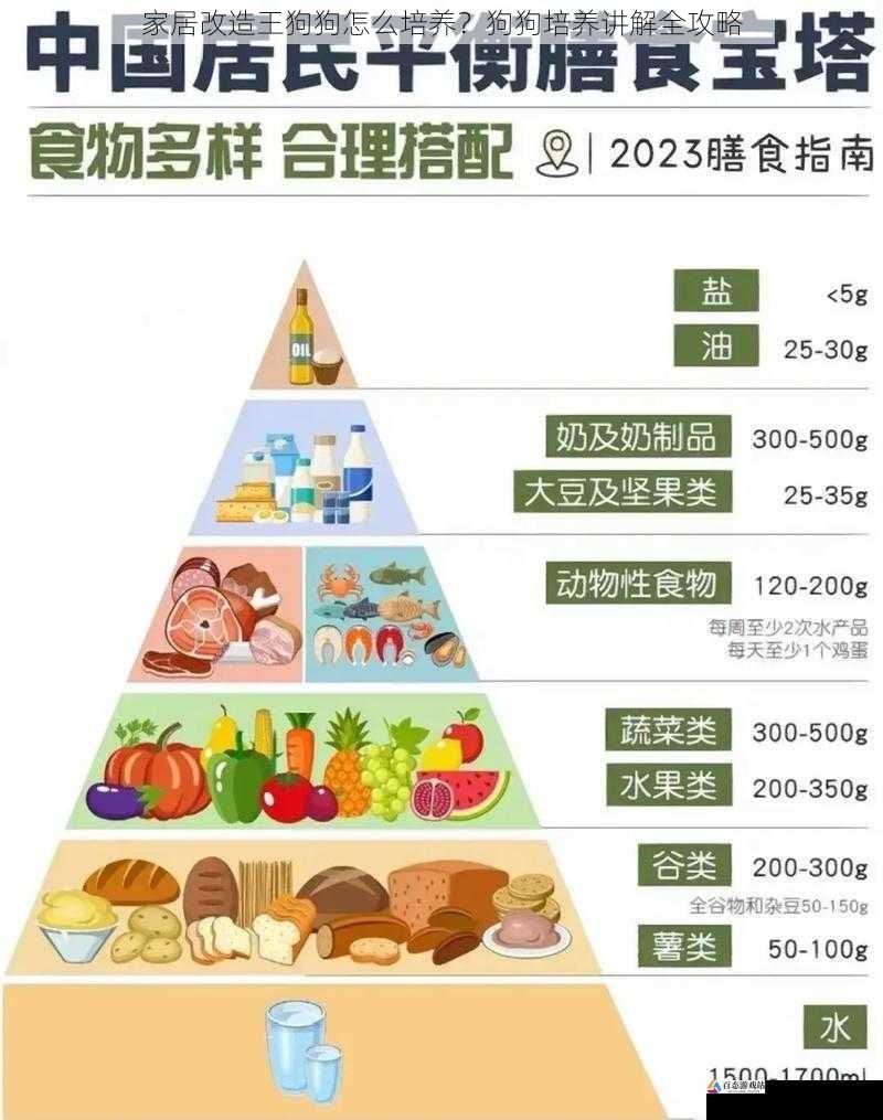 家居改造王狗狗怎么培养？狗狗培养讲解全攻略