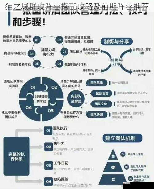 猫之城群攻阵容搭配攻略及前期阵容推荐