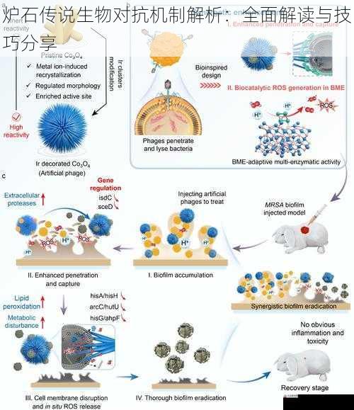 炉石传说生物对抗机制解析：全面解读与技巧分享