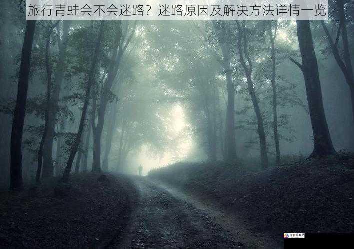 环境因素导致迷路