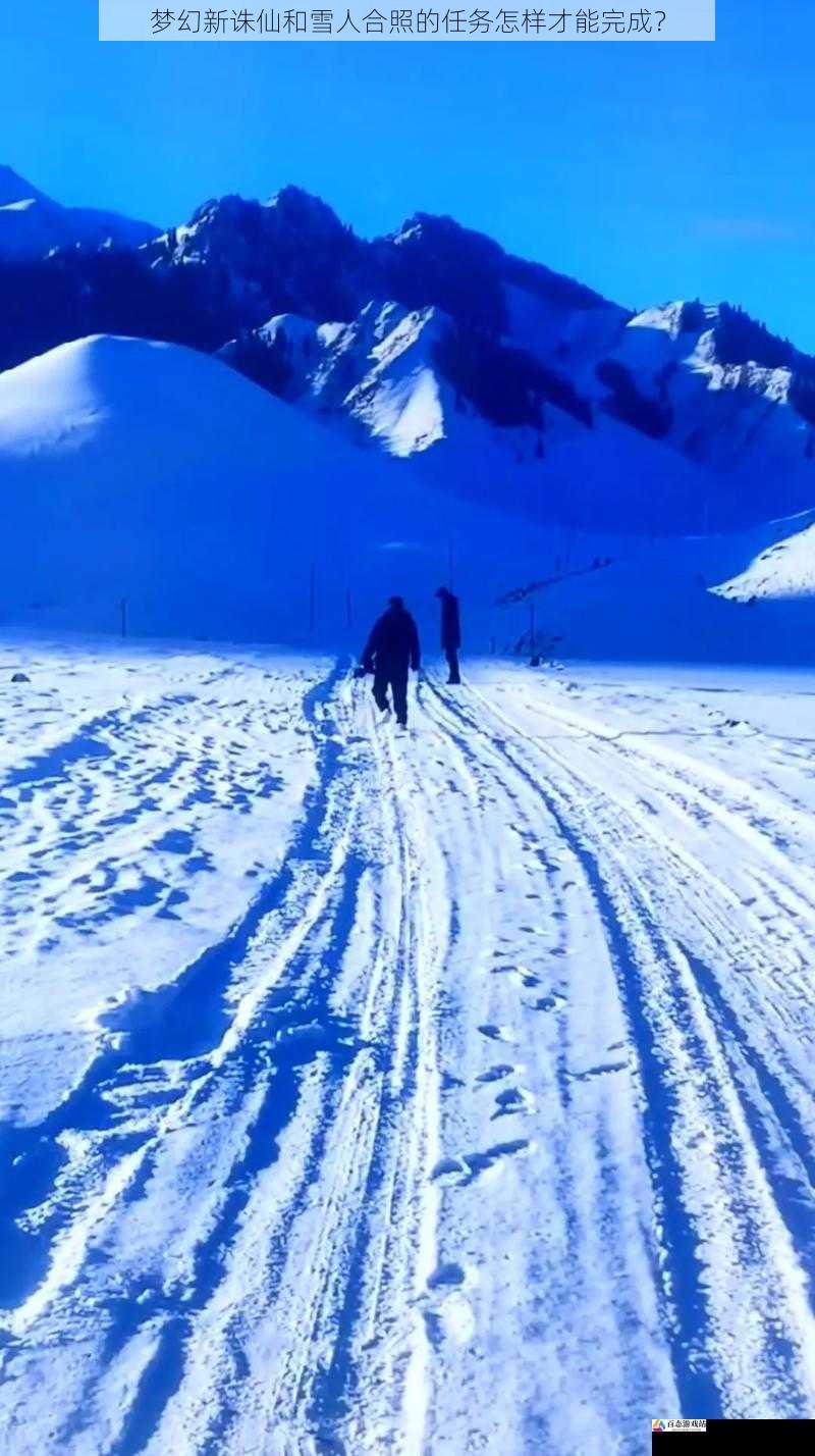 寻找雪地场景