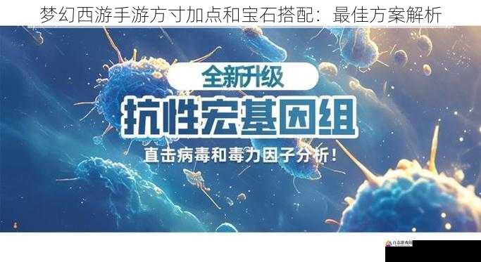 生存与抗性的兼顾