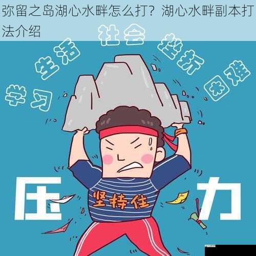 心态调整与应对压力