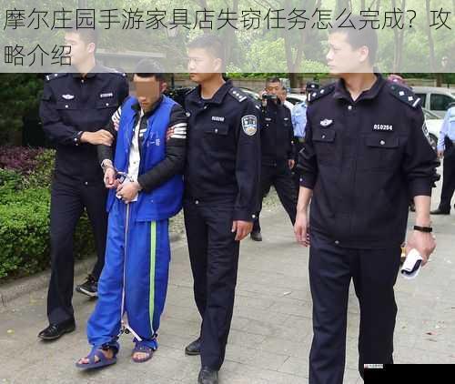 抓捕窃贼