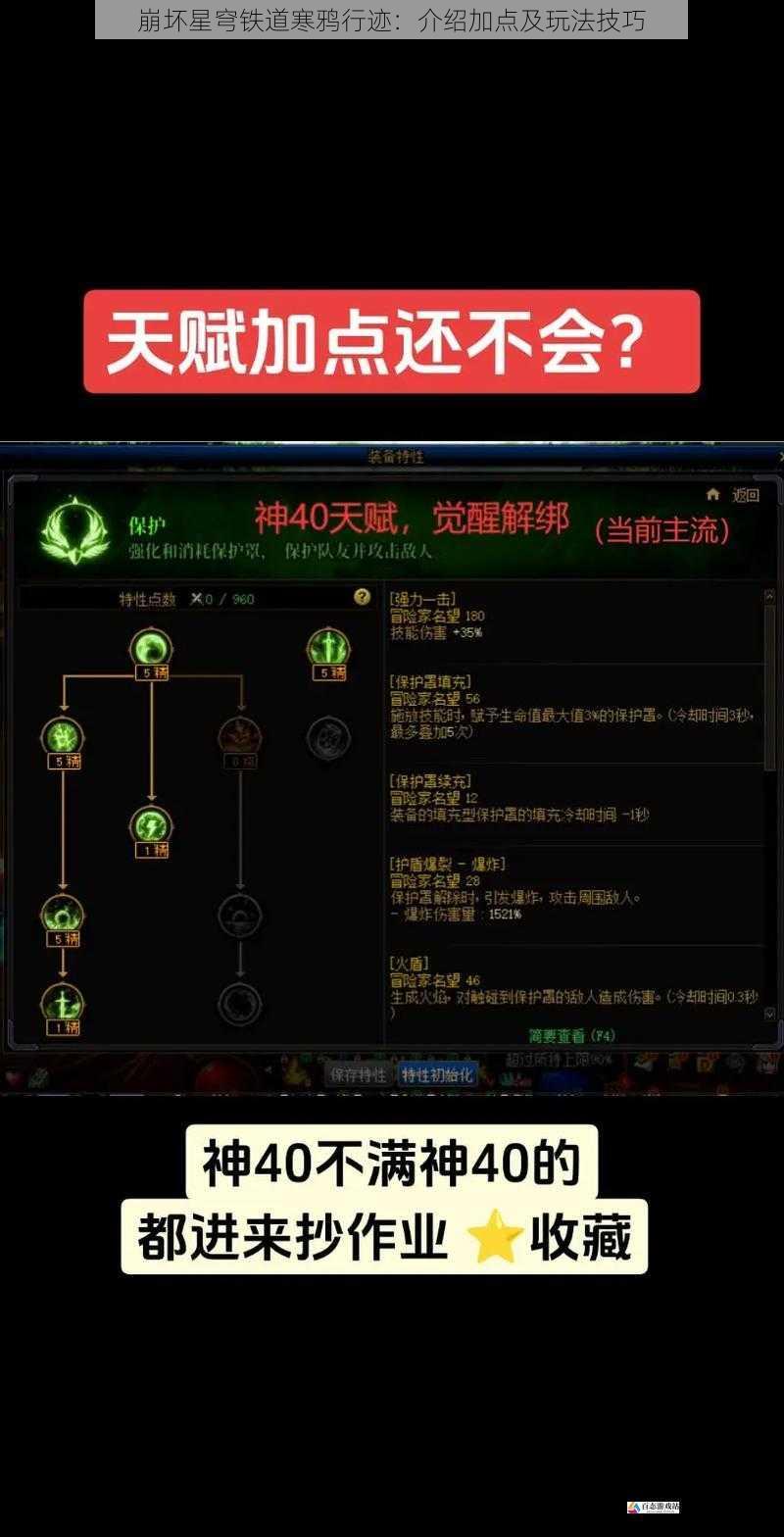 天赋加点