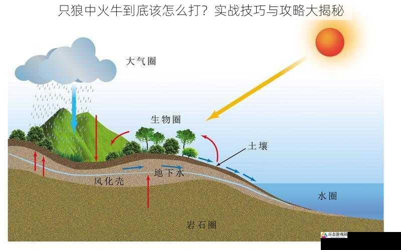 利用地形和环境