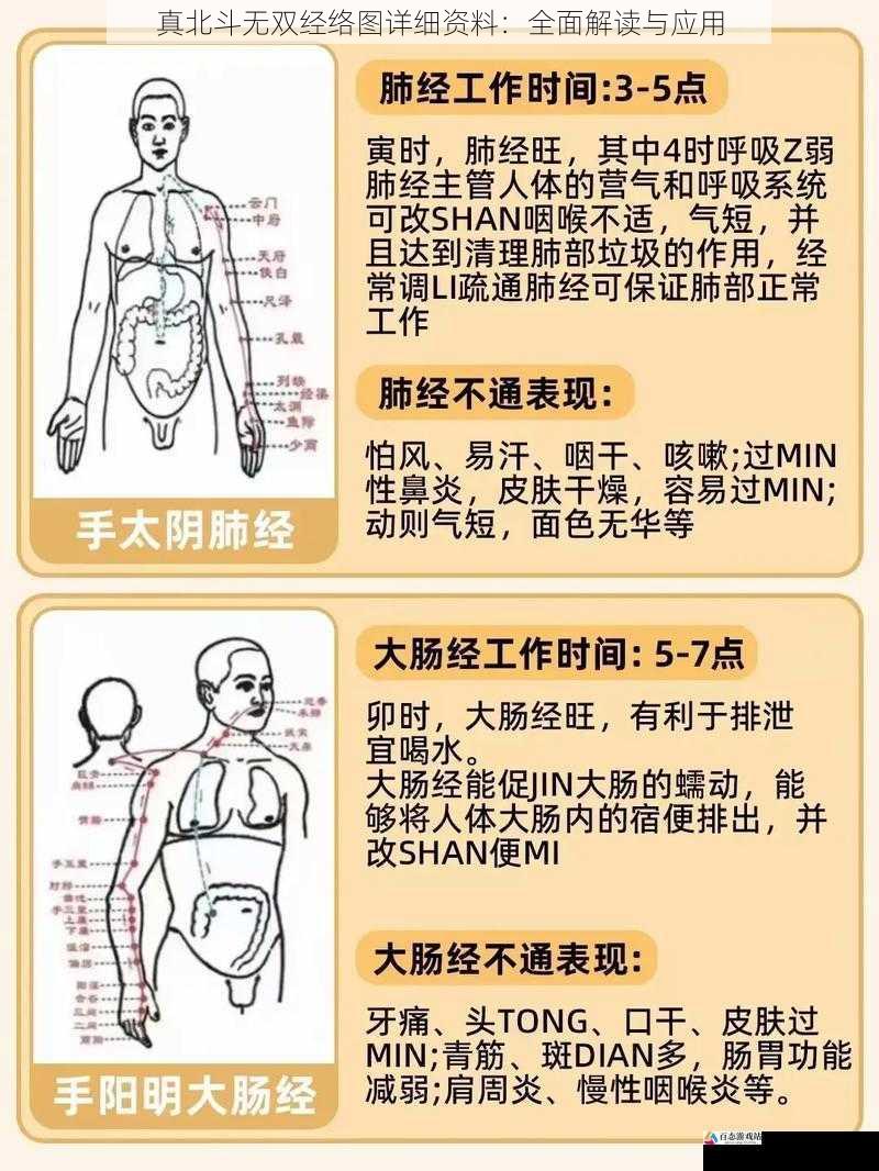 经络图的基本结构与功能