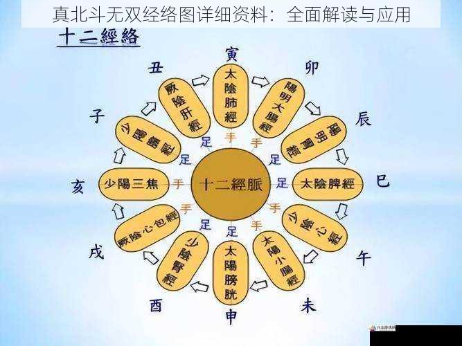 经络图的临床应用