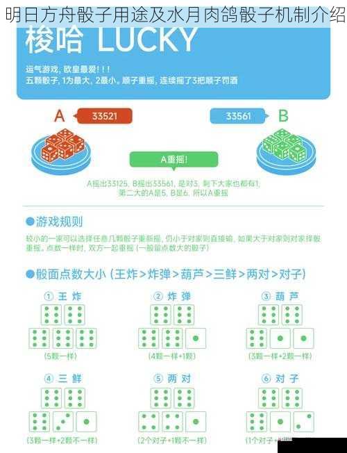 骰子在战斗中的用途