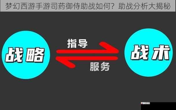 战斗策略与运用