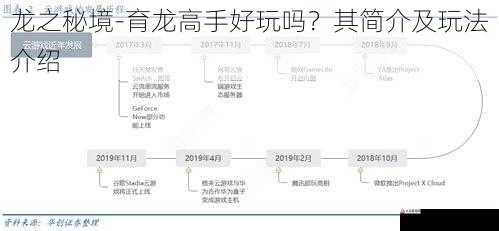 游戏更新与发展