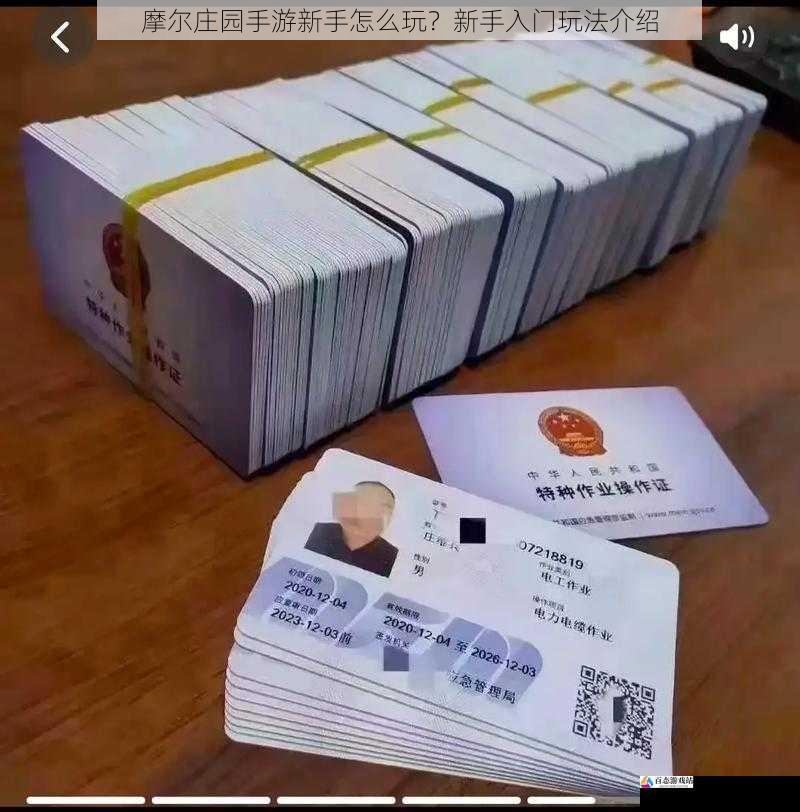 职业发展与技能提升