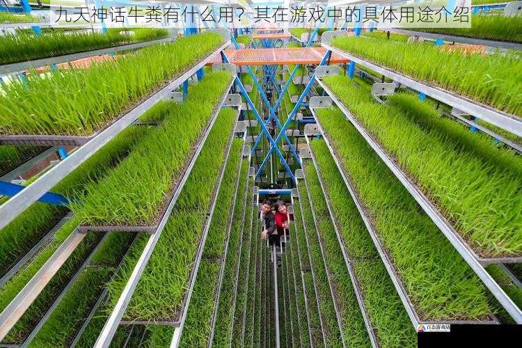 农业种植方面