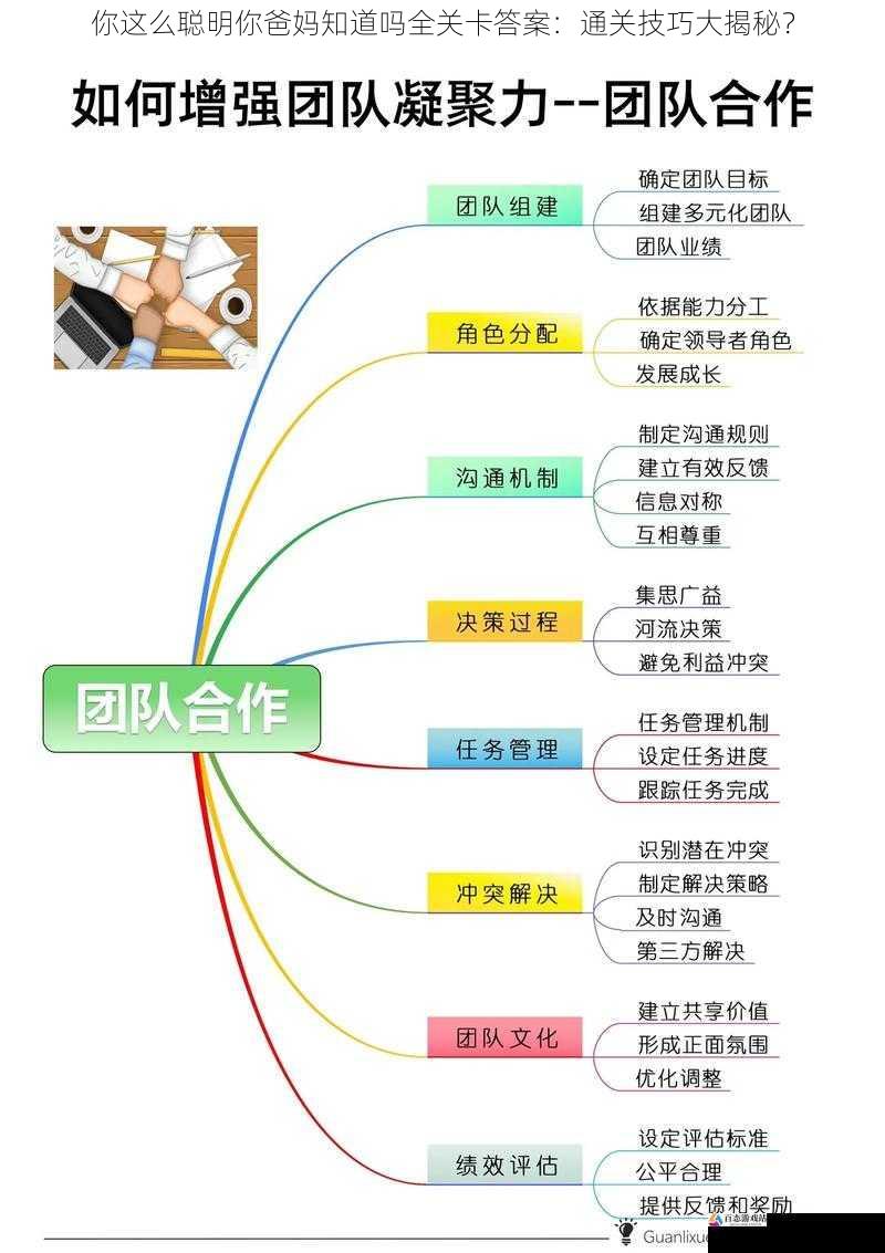 团队协作与策略运用