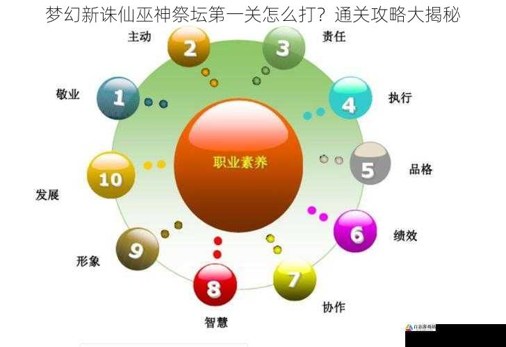 选择合适的职业和技能