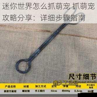 准备捕捉工具