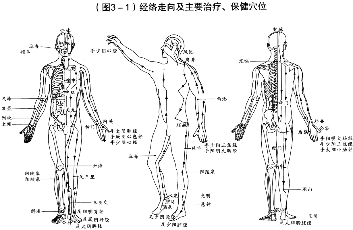 经脉攻略