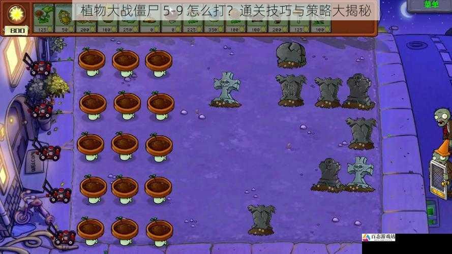 植物大战僵尸 5-9 怎么打？通关技巧与策略大揭秘