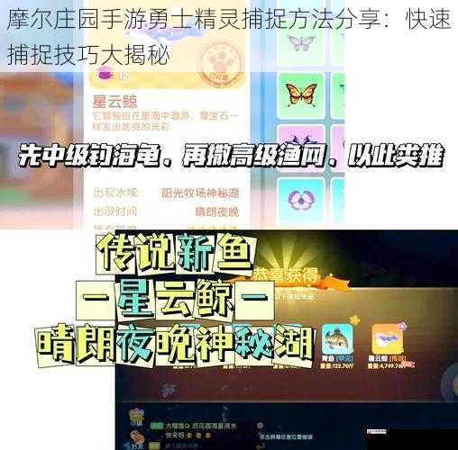 摩尔庄园手游勇士精灵捕捉方法分享：快速捕捉技巧大揭秘