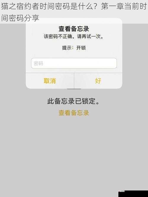 猫之宿约者时间密码是什么？第一章当前时间密码分享