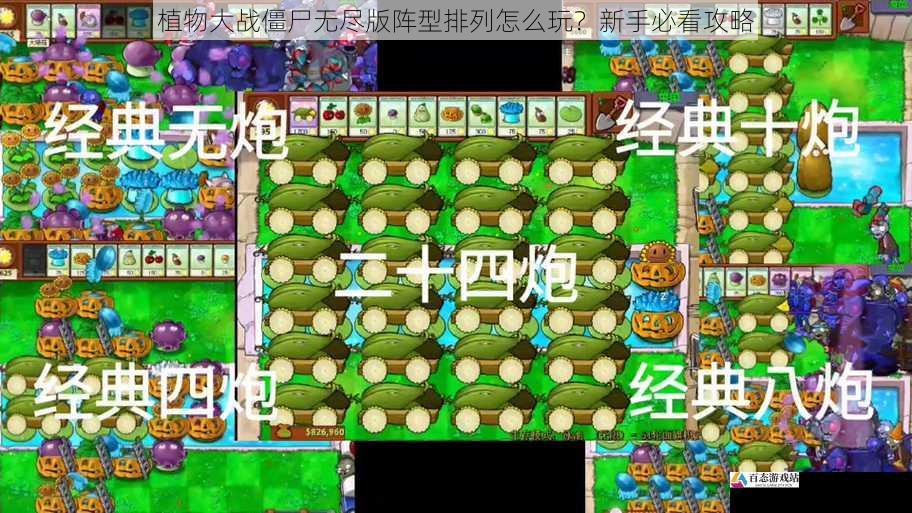 植物大战僵尸无尽版阵型排列怎么玩？新手必看攻略