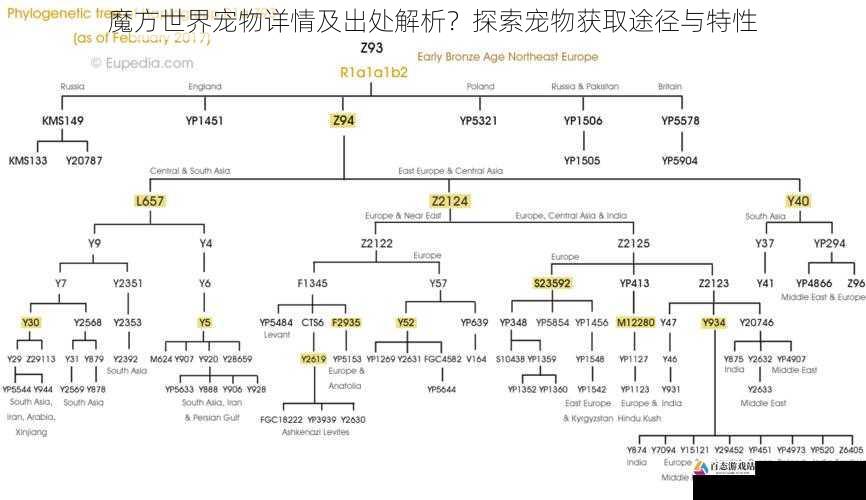 魔方世界宠物详情及出处解析？探索宠物获取途径与特性