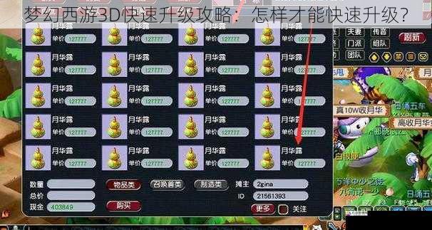 梦幻西游3D快速升级攻略：怎样才能快速升级？