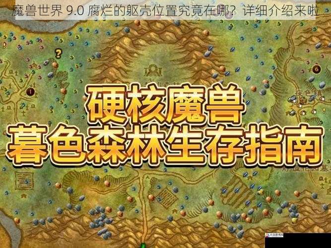 魔兽世界 9.0 腐烂的躯壳位置究竟在哪？详细介绍来啦