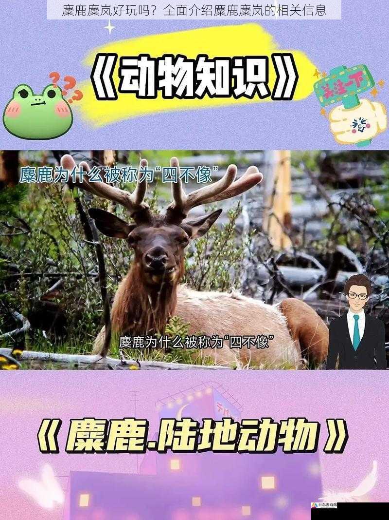 麋鹿麋岚好玩吗？全面介绍麋鹿麋岚的相关信息