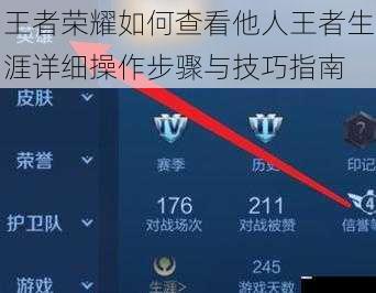 王者荣耀如何查看他人王者生涯详细操作步骤与技巧指南