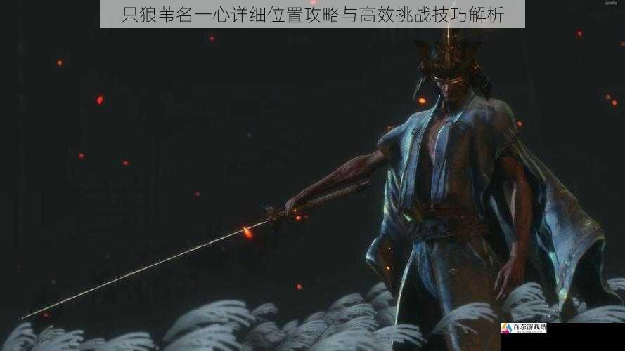 只狼苇名一心详细位置攻略与高效挑战技巧解析