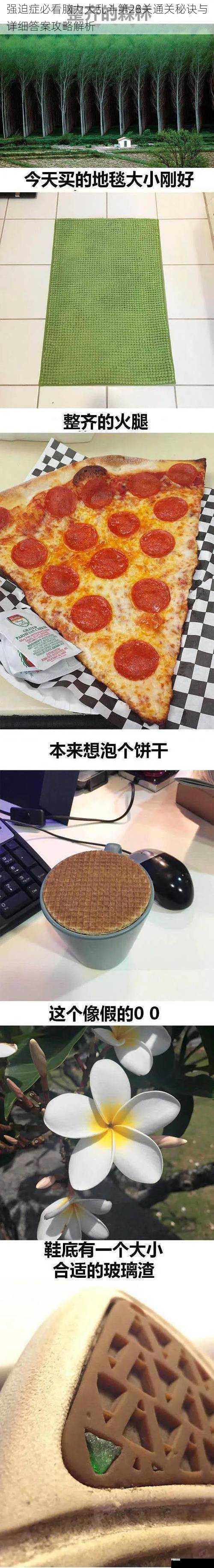 强迫症必看脑力大乱斗第28关通关秘诀与详细答案攻略解析