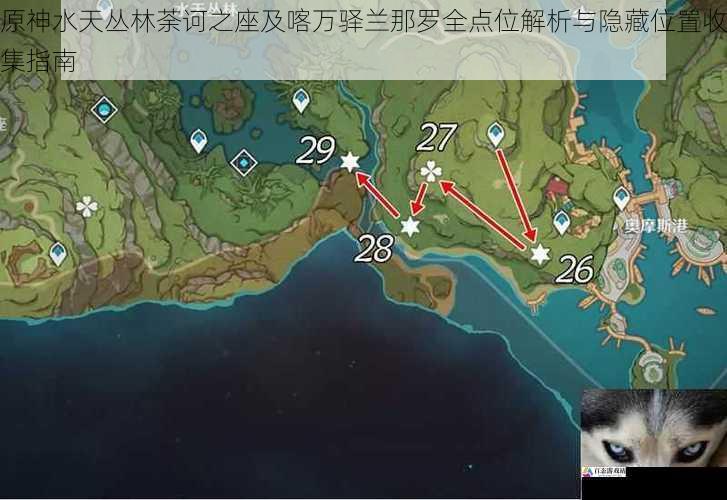 原神水天丛林荼诃之座及喀万驿兰那罗全点位解析与隐藏位置收集指南