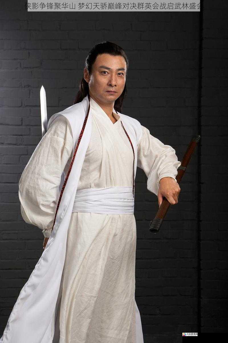 侠影争锋聚华山 梦幻天骄巅峰对决群英会战启武林盛会