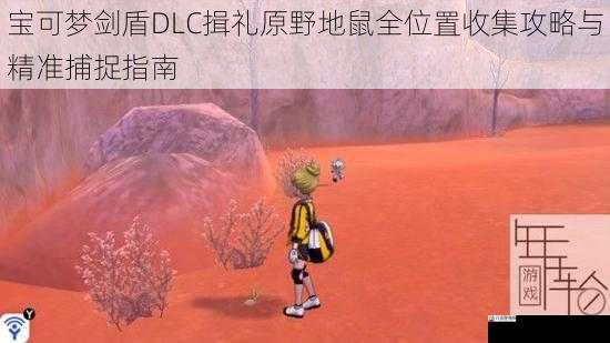 宝可梦剑盾DLC揖礼原野地鼠全位置收集攻略与精准捕捉指南