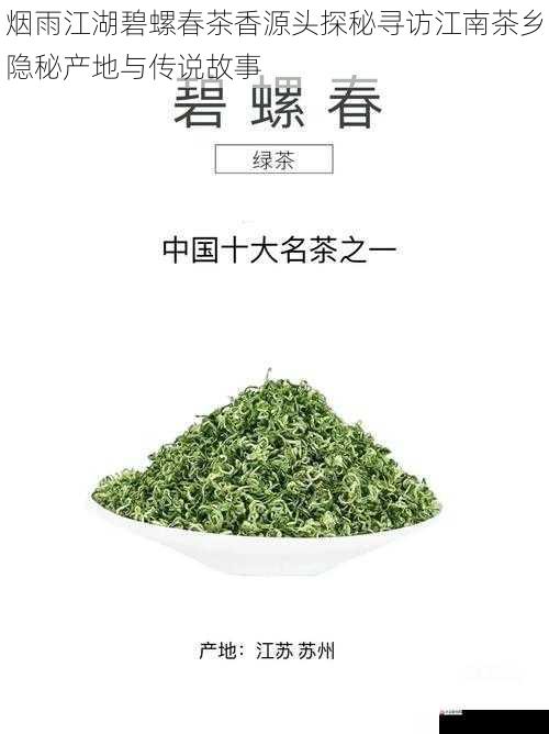 烟雨江湖碧螺春茶香源头探秘寻访江南茶乡隐秘产地与传说故事