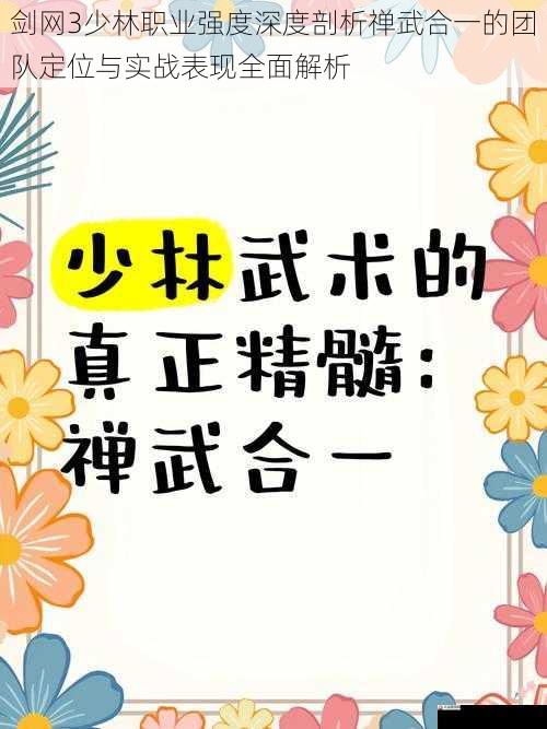 剑网3少林职业强度深度剖析禅武合一的团队定位与实战表现全面解析