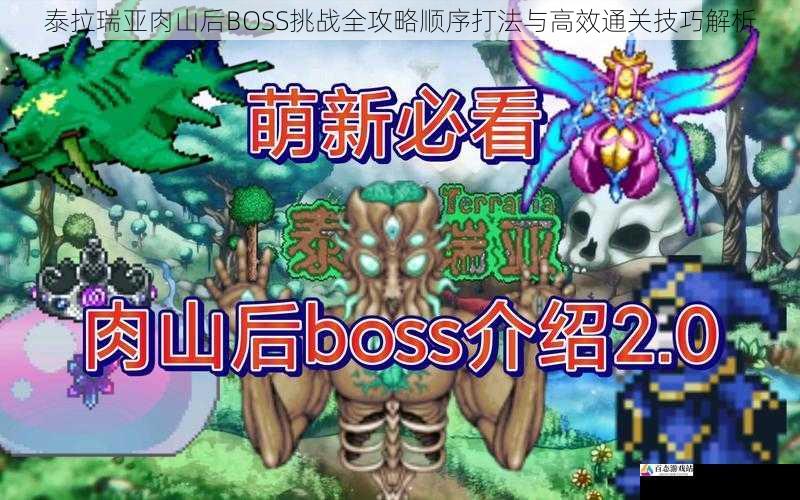泰拉瑞亚肉山后BOSS挑战全攻略顺序打法与高效通关技巧解析