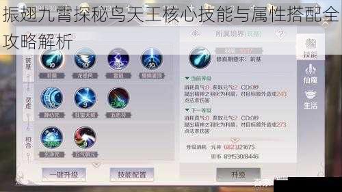 振翅九霄探秘鸟天王核心技能与属性搭配全攻略解析