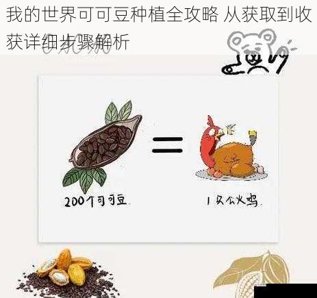 我的世界可可豆种植全攻略 从获取到收获详细步骤解析