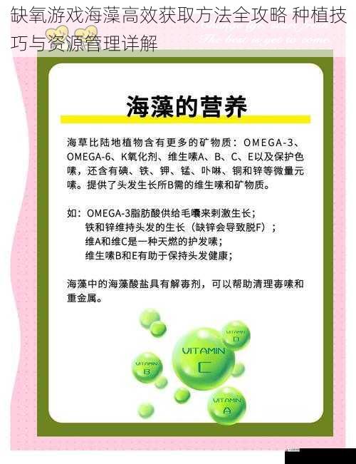 缺氧游戏海藻高效获取方法全攻略 种植技巧与资源管理详解