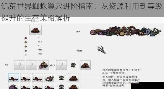 饥荒世界蜘蛛巢穴进阶指南：从资源利用到等级提升的生存策略解析