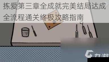 拣爱第三章全成就完美结局达成全流程通关终极攻略指南