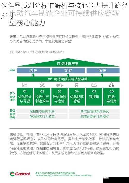 伙伴品质划分标准解析与核心能力提升路径探讨
