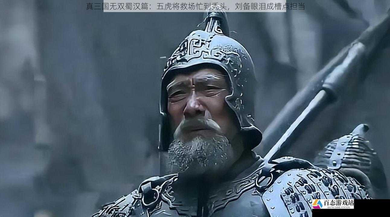 真三国无双蜀汉篇:五虎将救场忙到秃头,刘备眼泪成槽点担当