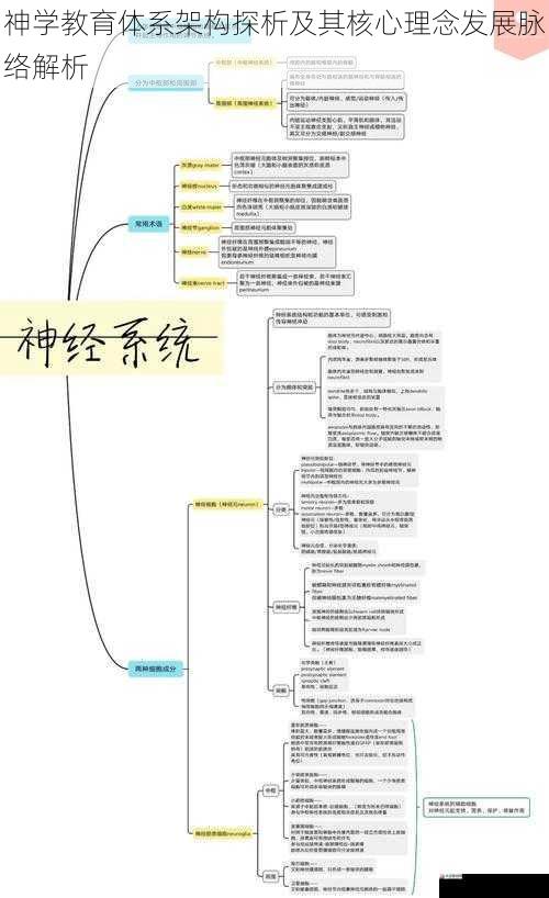 神学教育体系架构探析及其核心理念发展脉络解析