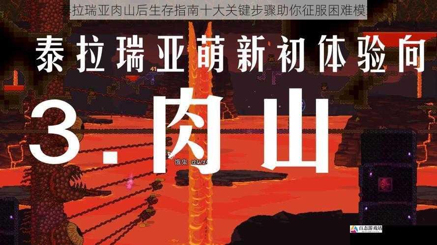 泰拉瑞亚肉山后生存指南十大关键步骤助你征服困难模式